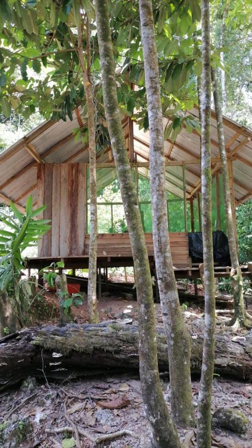 Reserva Natural Selva Mojada Nuqui Exterior photo