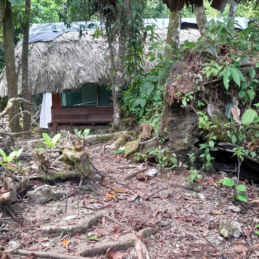Reserva Natural Selva Mojada Nuqui Exterior photo